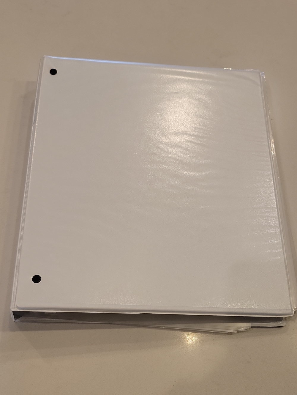 Office Depot Binder With Binder Sheet Protectors